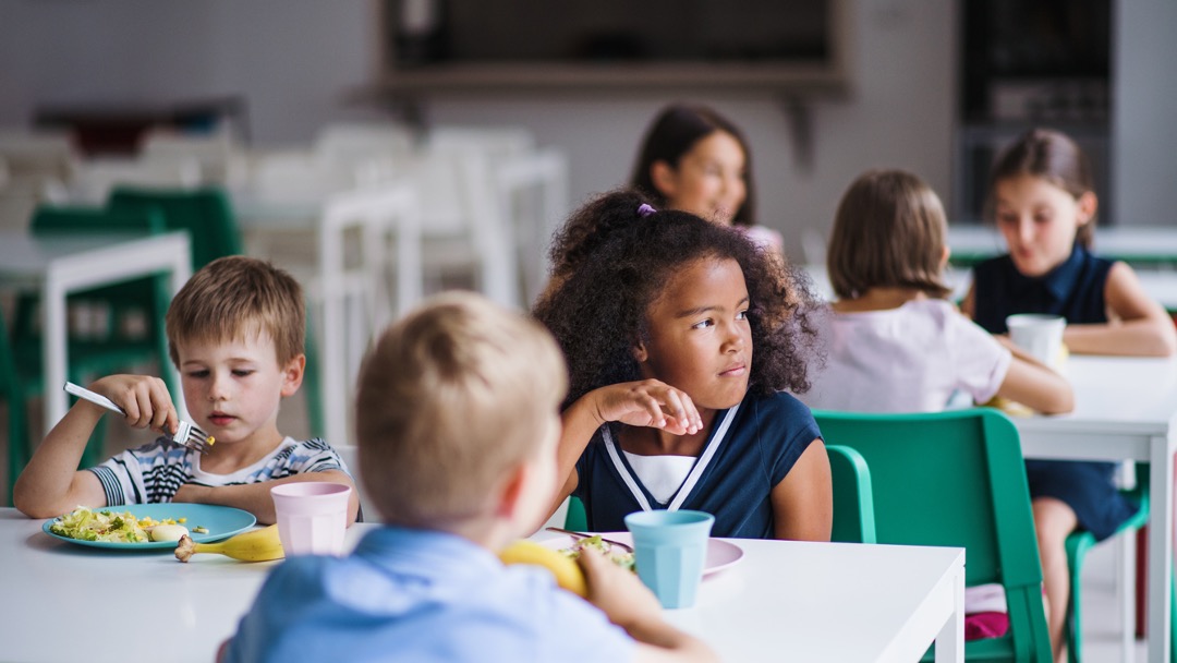 alimentação na infância